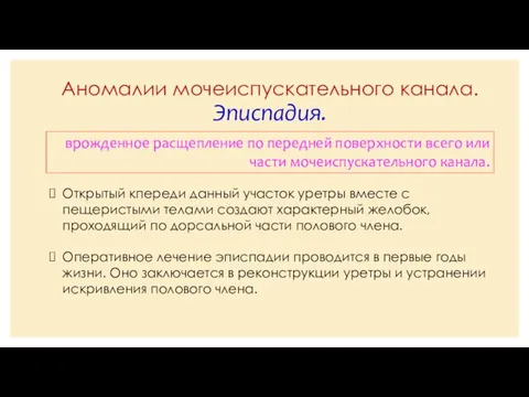 Аномалии мочеиспускательного канала. Эписпадия. врожденное расщепление по передней поверхности всего или