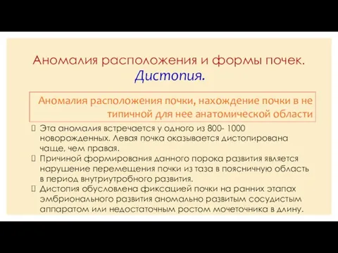 Аномалия расположения и формы почек. Дистопия. Аномалия расположения почки, нахождение почки