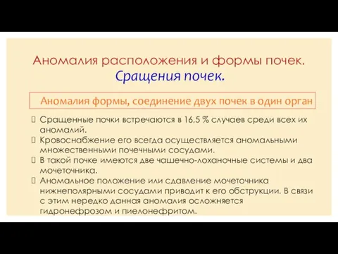 Аномалия расположения и формы почек. Сращения почек. Аномалия формы, соединение двух