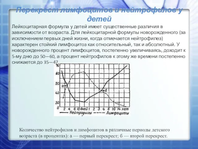 Перекрест лимфоцитов и нейтрофилов у детей Лейкоцитарная формула у детей имеет