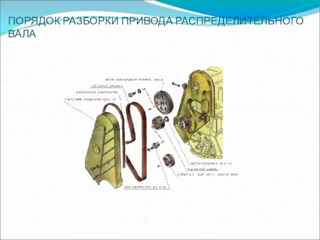 ПОРЯДОК РАЗБОРКИ ПРИВОДА РАСПРЕДЕЛИТЕЛЬНОГО ВАЛА