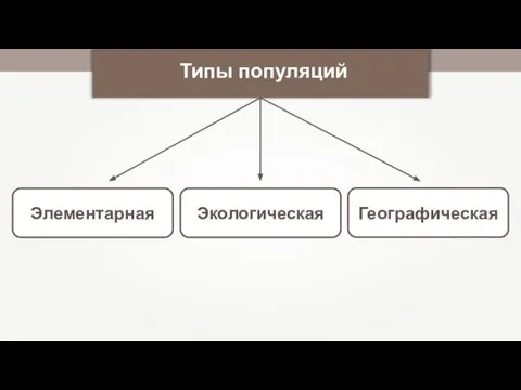 Элементарная Экологическая Типы популяций Географическая