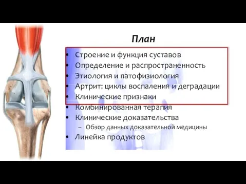 Строение и функция суставов Определение и распространенность Этиология и патофизиология Артрит: