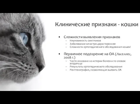 Клинические признаки - кошки Сложности выявления признаков Неуловимость симптомов Заболевание зачастую