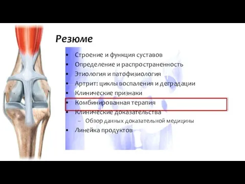 Строение и функция суставов Определение и распространенность Этиология и патофизиология Артрит: