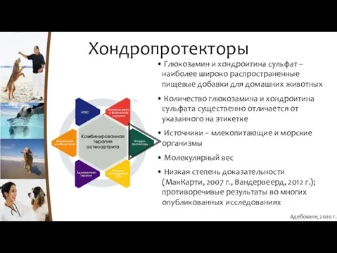 Хондропротекторы Глюкозамин и хондроитина сульфат – наиболее широко распространенные пищевые добавки