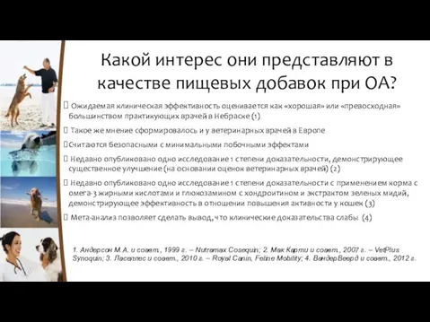 Какой интерес они представляют в качестве пищевых добавок при ОА? 1.