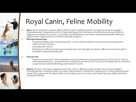 Royal Canin, Feline Mobility Цель: Протестировать рацион, богатый ЭПК и ДГК