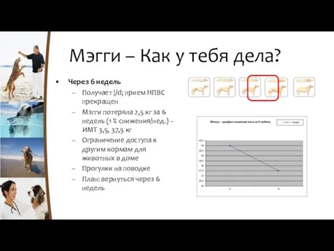 Мэгги – Как у тебя дела? Через 6 недель Получает j/d;