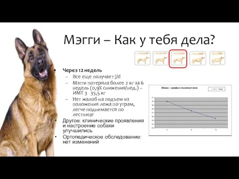 Мэгги – Как у тебя дела? Через 12 недель Все еще