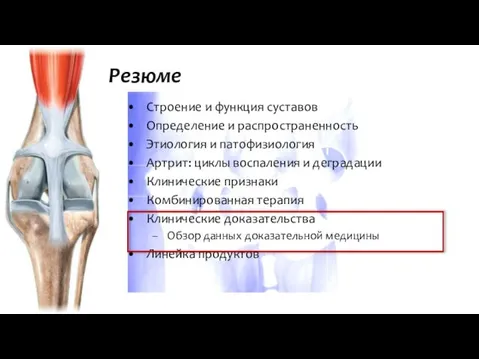 Строение и функция суставов Определение и распространенность Этиология и патофизиология Артрит: