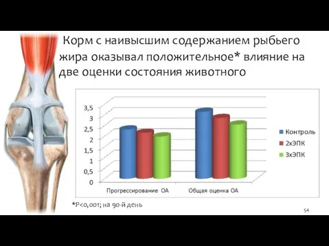 Корм с наивысшим содержанием рыбьего жира оказывал положительное* влияние на две оценки состояния животного *P