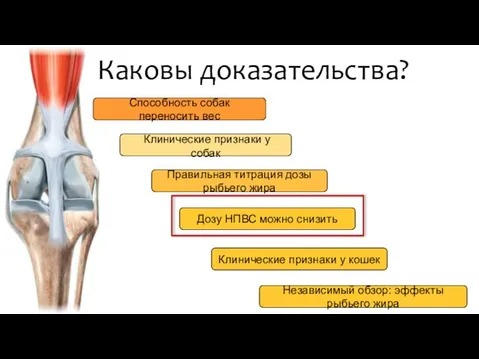 Каковы доказательства? Способность собак переносить вес Правильная титрация дозы рыбьего жира