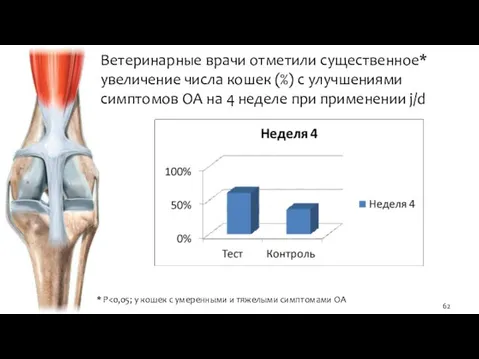 Ветеринарные врачи отметили существенное* увеличение числа кошек (%) с улучшениями симптомов