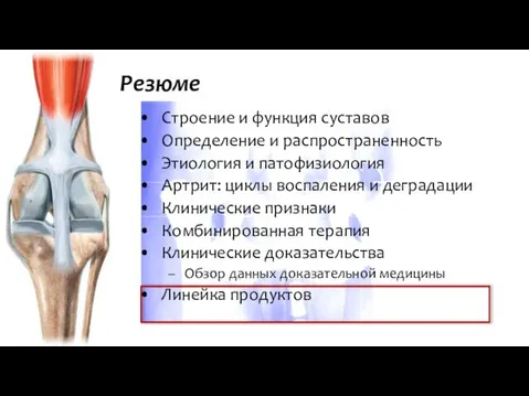 Строение и функция суставов Определение и распространенность Этиология и патофизиология Артрит: