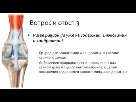 Вопрос и ответ 3 Разве рацион j/d уже не содержит глюкозамин