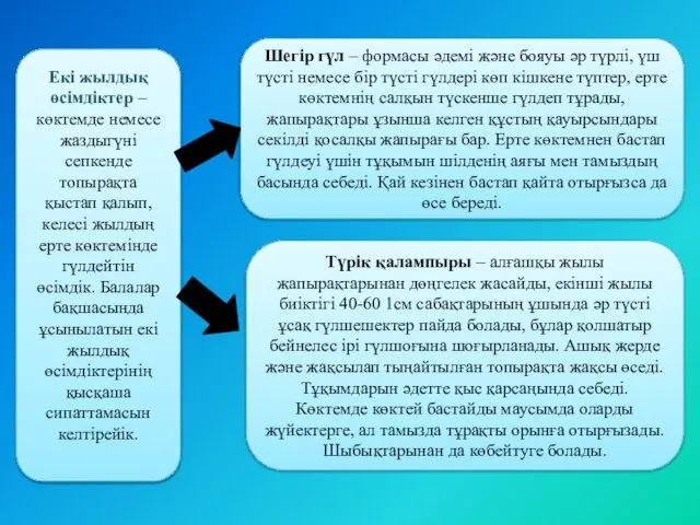 Екі жылдық өсімдіктер – көктемде немесе жаздыгүні сепкенде топырақта қыстап қалып,