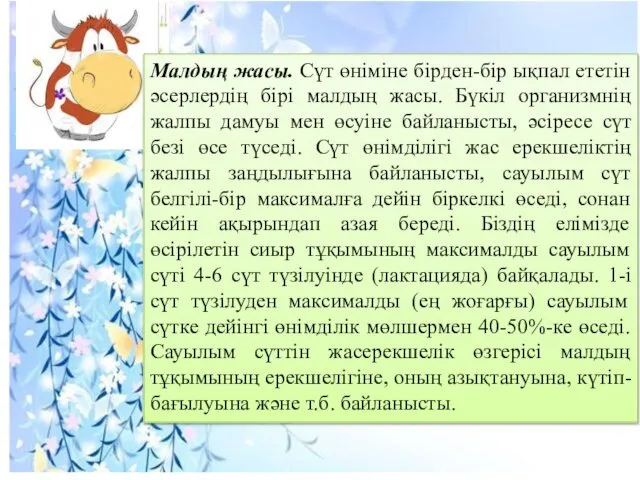 Малдың жасы. Сүт өніміне бірден-бір ықпал ететін әсерлердің бірі малдың жасы.