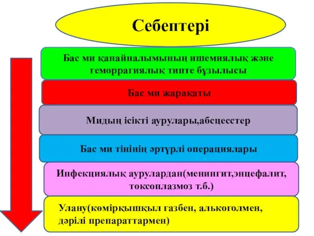 Себептері Бас ми қанайналымының ишемиялық және геморрагиялық типте бұзылысы Бас ми