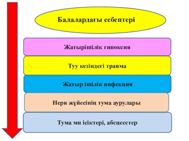 Жатырішілік гипоксия Туу кезіндегі травма Жатыр ішілік инфекция Нерв жүйесінің тума