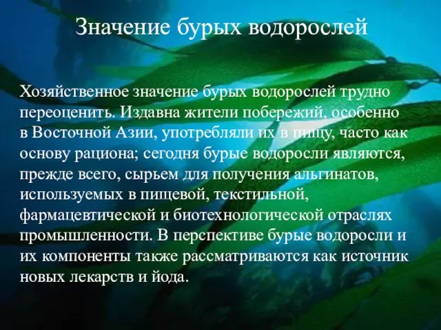 Значение бурых водорослей Хозяйственное значение бурых водорослей трудно переоценить. Издавна жители