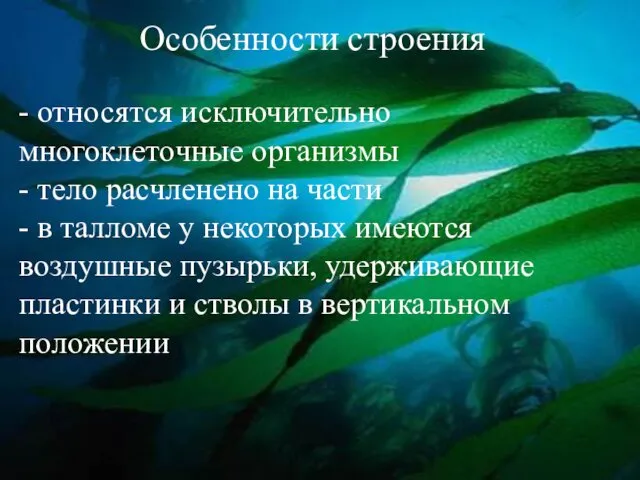 Особенности строения - относятся исключительно многоклеточные организмы - тело расчленено на