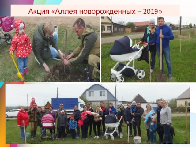 Акция «Аллея новорожденных – 2019»