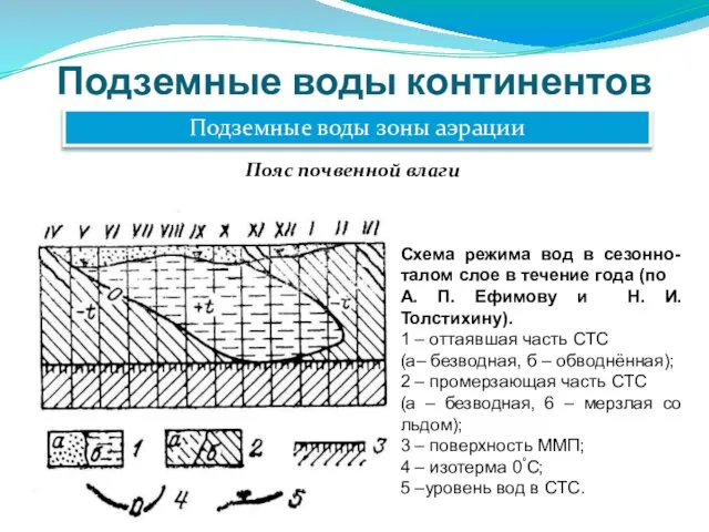 Подземные воды континентов Подземные воды зоны аэрации Пояс почвенной влаги Схема