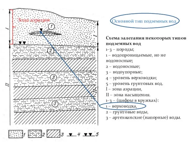 Подземные воды континентов Подземные воды зоны аэрации Промежуточный пояс Схема залегания