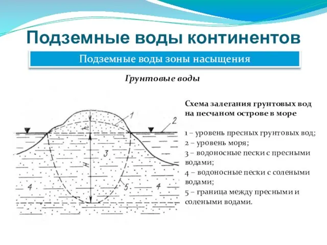 Подземные воды континентов Подземные воды зоны насыщения Грунтовые воды Схема залегания