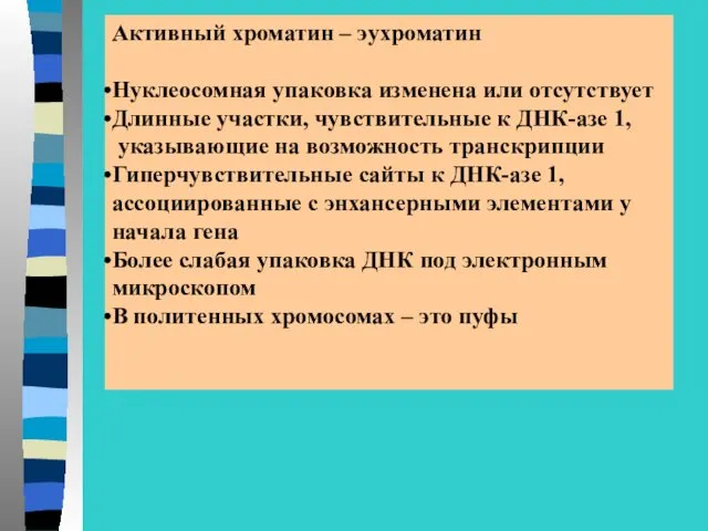 Активный хроматин – эухроматин Нуклеосомная упаковка изменена или отсутствует Длинные участки,