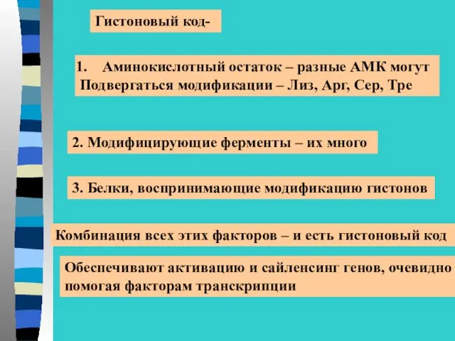 Гистоновый код- Аминокислотный остаток – разные АМК могут Подвергаться модификации –