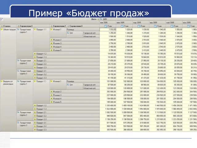Пример «Бюджет продаж»