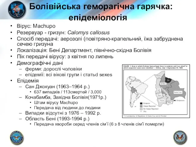 Болівійська геморагічна гарячка: епідеміологія Вірус: Machupo Резервуар - гризун: Calomys callosus