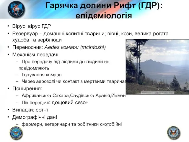 Гарячка долини Рифт (ГДР): епідеміологія Вірус: вірус ГДР Резервуар – домашні