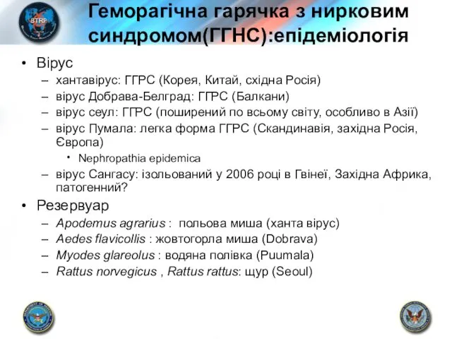 Геморагічна гарячка з нирковим синдромом(ГГНС):епідеміологія Вірус хантавірус: ГГРС (Корея, Китай, східна