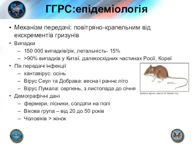 ГГРС:епідеміологія Механізм передачі: повітряно-крапельним від екскрементів гризунів Випадки 150 000 випадків/рік,