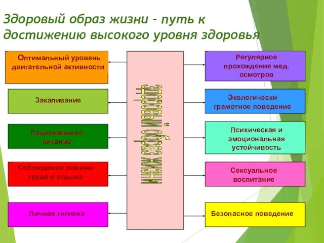 Здоровый образ жизни – путь к достижению высокого уровня здоровья здоровый образ жизни