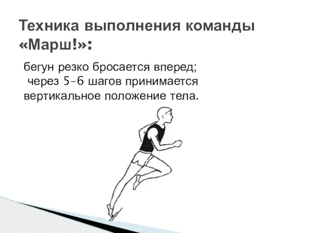 Техника выполнения команды «Марш!»: бегун резко бросается вперед; через 5–6 шагов принимается вертикальное положение тела.