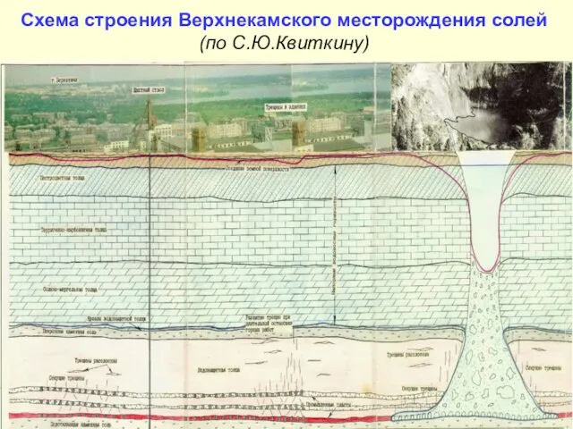 Схема строения Верхнекамского месторождения солей (по С.Ю.Квиткину)