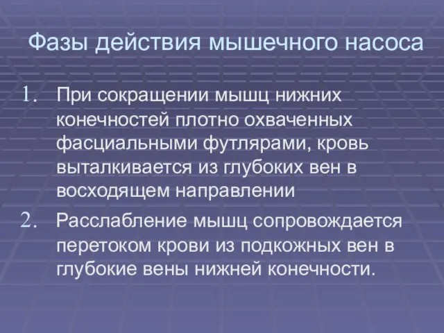 Фазы действия мышечного насоса При сокращении мышц нижних конечностей плотно охваченных