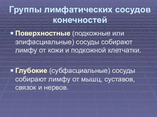 Группы лимфатических сосудов конечностей Поверхностные (подкожные или эпифасциальные) сосуды собирают лимфу