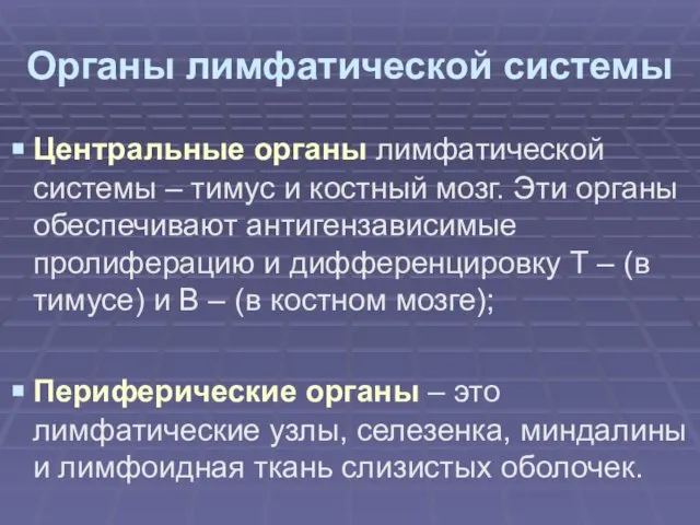 Органы лимфатической системы Центральные органы лимфатической системы – тимус и костный