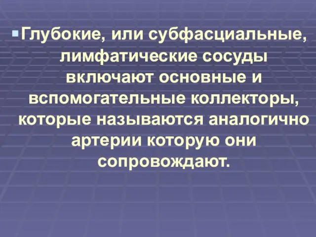 Глубокие, или субфасциальные, лимфатические сосуды включают основные и вспомогательные коллекторы, которые