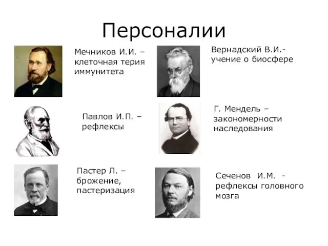 Персоналии Мечников И.И. – клеточная терия иммунитета Павлов И.П. – рефлексы