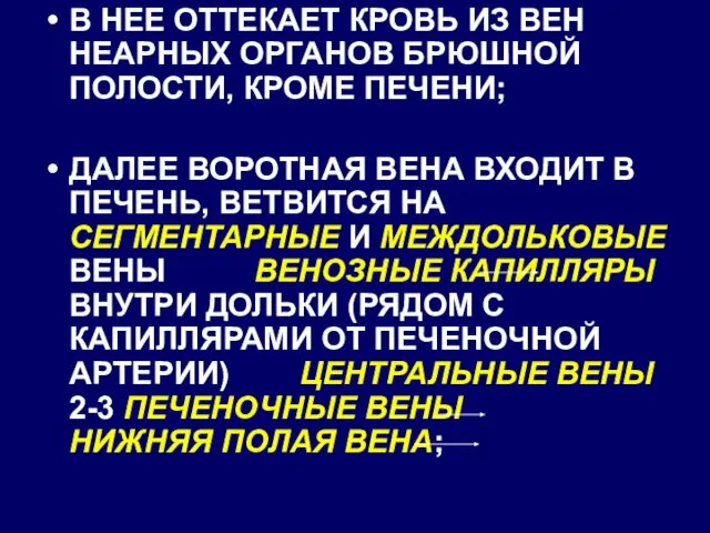 В НЕЕ ОТТЕКАЕТ КРОВЬ ИЗ ВЕН НЕАРНЫХ ОРГАНОВ БРЮШНОЙ ПОЛОСТИ, КРОМЕ