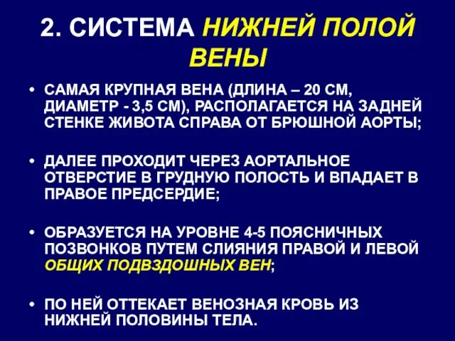 2. СИСТЕМА НИЖНЕЙ ПОЛОЙ ВЕНЫ САМАЯ КРУПНАЯ ВЕНА (ДЛИНА – 20