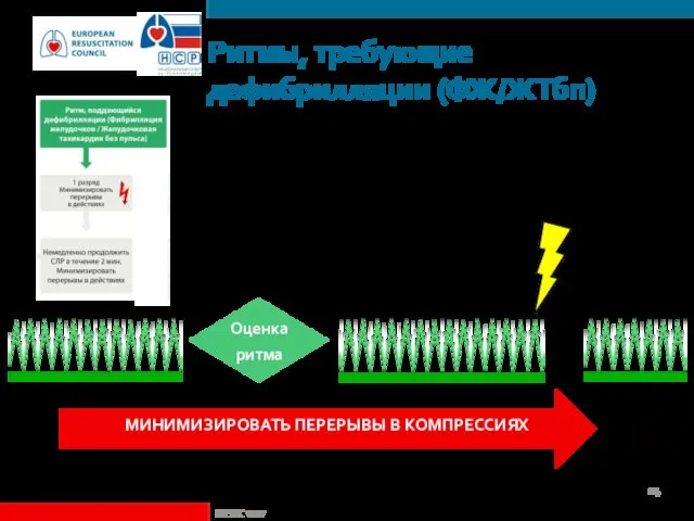 Ритмы, требующие дефибрилляции (ФЖ/ЖТбп) ©ERC vzw Оценка ритма МИНИМИЗИРОВАТЬ ПЕРЕРЫВЫ В КОМПРЕССИЯХ НЕМЕДЛЕННО ПРОДОЛЖИТЬ СЛР