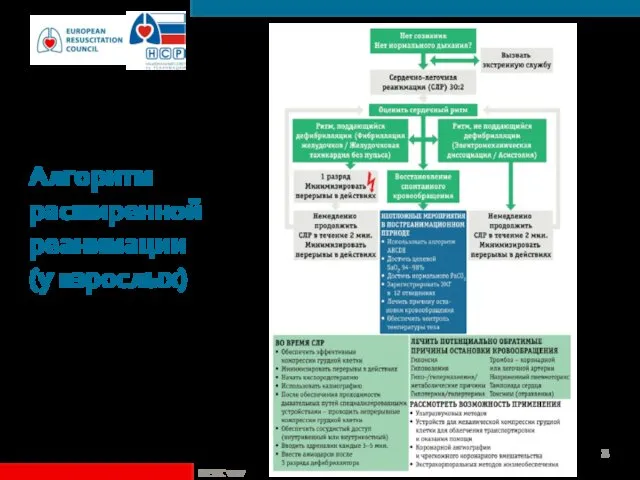 Алгоритм расширенной реанимации (у взрослых) ©ERC vzw