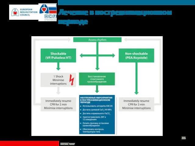 Лечение в постреанимационном периоде ©ERC vzw